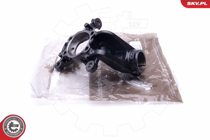 Steering Knuckle, wheel suspension